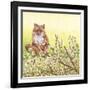 Pussywillows Fox-Wendy Edelson-Framed Giclee Print