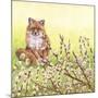 Pussywillows Fox-Wendy Edelson-Mounted Giclee Print