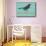 Put A Bird On It Blue-null-Mounted Art Print displayed on a wall