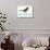 Put A Bird On It-null-Stretched Canvas displayed on a wall