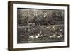 Putbus Auf Rügen, Im Fürstlichen Wildpark, Hirsche, Rehe-null-Framed Giclee Print