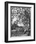 Putney Heath, London, 1926-1927-McLeish-Framed Giclee Print