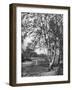 Putney Heath, London, 1926-1927-McLeish-Framed Giclee Print