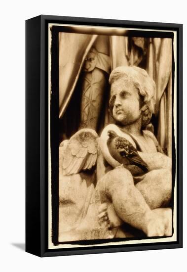 Putti and Pigeon, Opera House, Paris-Theo Westenberger-Framed Stretched Canvas