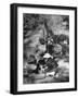 Putting Up a Tent, Some Junior High Girl Scouts Working Toward Camp Craft Badge-Ed Clark-Framed Photographic Print