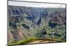 Puu Hinahina Lookout, Waimea Canyon State Park, Kauai, Hawaii, United States of America, Pacific-Michael DeFreitas-Mounted Photographic Print