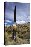 Puya Raimondii Tree (The Queen of the Andes Tree), after Seeding, Peru, South America-Peter Groenendijk-Stretched Canvas