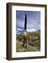 Puya Raimondii Tree (The Queen of the Andes Tree), after Seeding, Peru, South America-Peter Groenendijk-Framed Photographic Print
