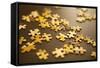 Puzzle I-Karyn Millet-Framed Stretched Canvas