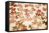 Puzzle III-Karyn Millet-Framed Stretched Canvas