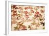 Puzzle III-Karyn Millet-Framed Photographic Print
