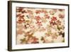 Puzzle III-Karyn Millet-Framed Photographic Print