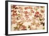 Puzzle III-Karyn Millet-Framed Photographic Print