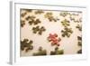 Puzzle IV-Karyn Millet-Framed Photographic Print