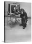 Puzzled Orangutan Standing Next to TV Set Playing the Image of President Richard Nixon-Yale Joel-Stretched Canvas