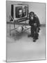 Puzzled Orangutan Standing Next to TV Set Playing the Image of President Richard Nixon-Yale Joel-Mounted Photographic Print