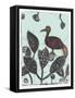 Puzzled Red Bird 17-Maria Pietri Lalor-Framed Stretched Canvas