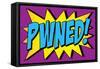 Pwned! Comic Pop-Art Art Print Poster-null-Framed Stretched Canvas