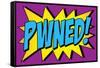 Pwned! Comic Pop-Art Art Print Poster-null-Framed Stretched Canvas