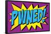 Pwned! Comic Pop-Art Art Print Poster-null-Framed Poster