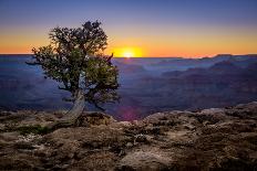 Grand Canyon National Park Arizona-pxhidalgo-Framed Stretched Canvas