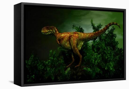 Pycnonemosaurus Was a Carnivorous Dinosaur from the Late Cretaceous Period-null-Framed Stretched Canvas