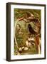 Pygmy Bird of Paradise-F.W. Kuhnert-Framed Art Print