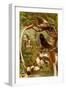 Pygmy Bird of Paradise-F.W. Kuhnert-Framed Art Print