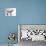 Pygmy Goat-DLILLC-Photographic Print displayed on a wall