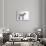 Pygmy Goat-DLILLC-Photographic Print displayed on a wall