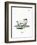 Pygmy Goat-null-Framed Giclee Print