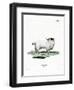 Pygmy Goat-null-Framed Giclee Print