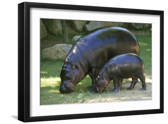 Premium Photographic Print, , large