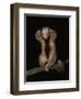 Pygmy / Silky Anteater, South America-Pete Oxford-Framed Premium Photographic Print