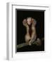 Pygmy / Silky Anteater, South America-Pete Oxford-Framed Premium Photographic Print