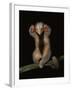 Pygmy / Silky Anteater, South America-Pete Oxford-Framed Photographic Print