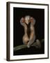 Pygmy / Silky Anteater, South America-Pete Oxford-Framed Photographic Print