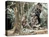 Pygmy Women and Children Outside Huts, Central African Republic, Africa-Ian Griffiths-Stretched Canvas