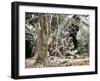 Pygmy Women and Children Outside Huts, Central African Republic, Africa-Ian Griffiths-Framed Photographic Print