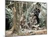 Pygmy Women and Children Outside Huts, Central African Republic, Africa-Ian Griffiths-Mounted Photographic Print