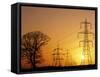 Pylons And Power Lines At Sunset-David Parker-Framed Stretched Canvas