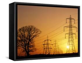 Pylons And Power Lines At Sunset-David Parker-Framed Stretched Canvas