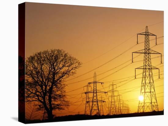 Pylons And Power Lines At Sunset-David Parker-Stretched Canvas