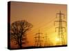 Pylons And Power Lines At Sunset-David Parker-Stretched Canvas