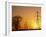 Pylons And Power Lines At Sunset-David Parker-Framed Photographic Print