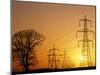Pylons And Power Lines At Sunset-David Parker-Mounted Photographic Print