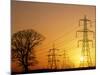 Pylons And Power Lines At Sunset-David Parker-Mounted Photographic Print