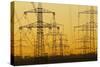 Pylons and power lines in morning light, Germany, Europe-Hans-Peter Merten-Stretched Canvas