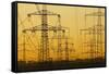 Pylons and power lines in morning light, Germany, Europe-Hans-Peter Merten-Framed Stretched Canvas