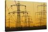 Pylons and power lines in morning light, Germany, Europe-Hans-Peter Merten-Stretched Canvas